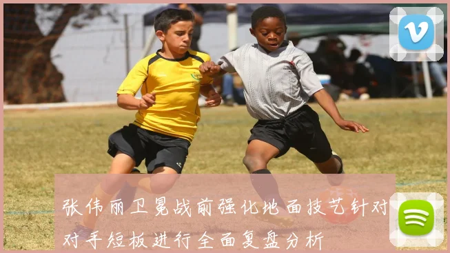 张伟丽卫冕战前强化地面技艺针对对手短板进行全面复盘分析